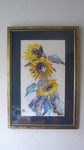 Q11 SONNENBLUME