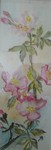 Q19 HECKENROSE
